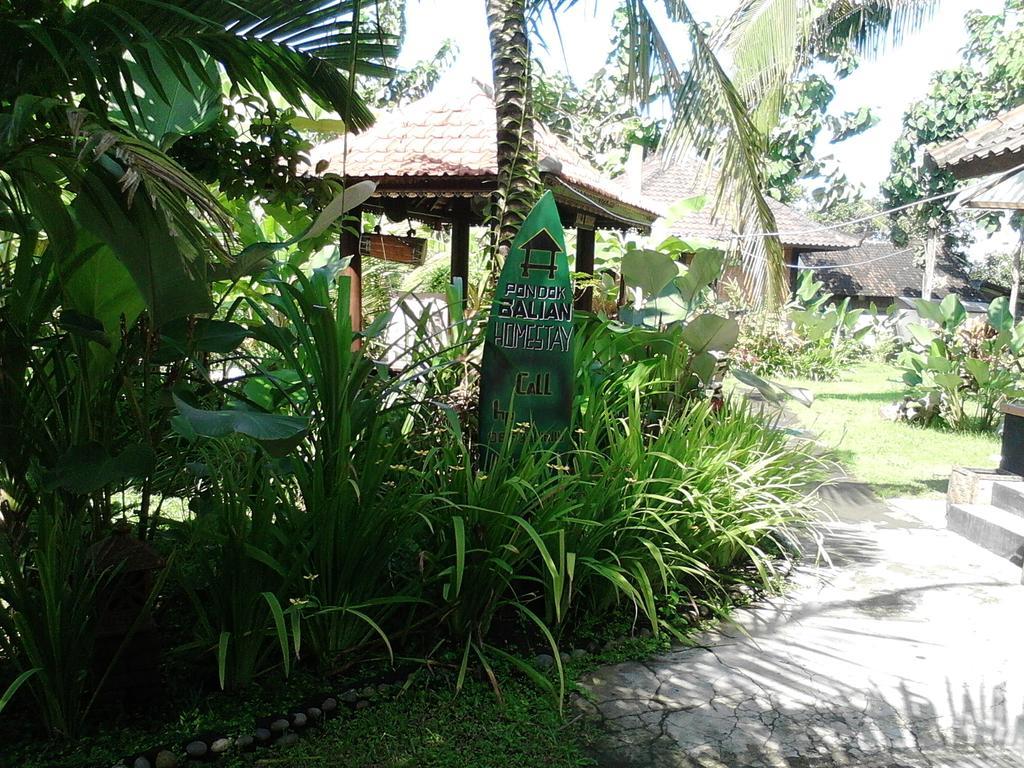 Pondok Balian Selemadeg  Esterno foto